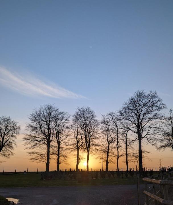 Photo of Others in Vron