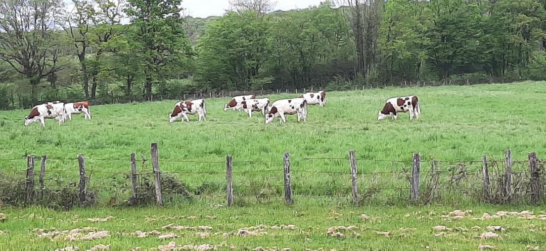 Photo of Others in Les Repots