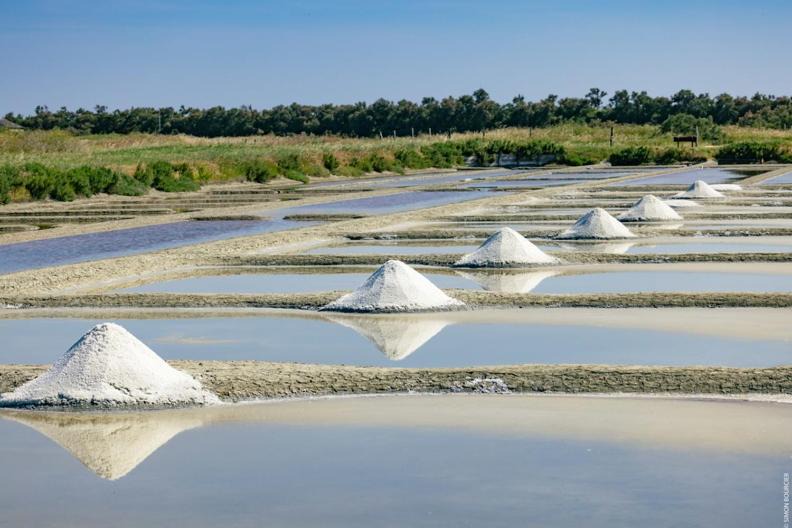 Photo of Others in Noirmoutier-en-l'Ile