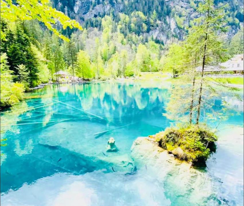 Photo of Others in Blausee
