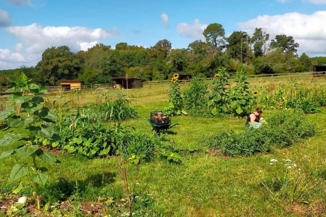 Photo of Others in Creon-dArmagnac