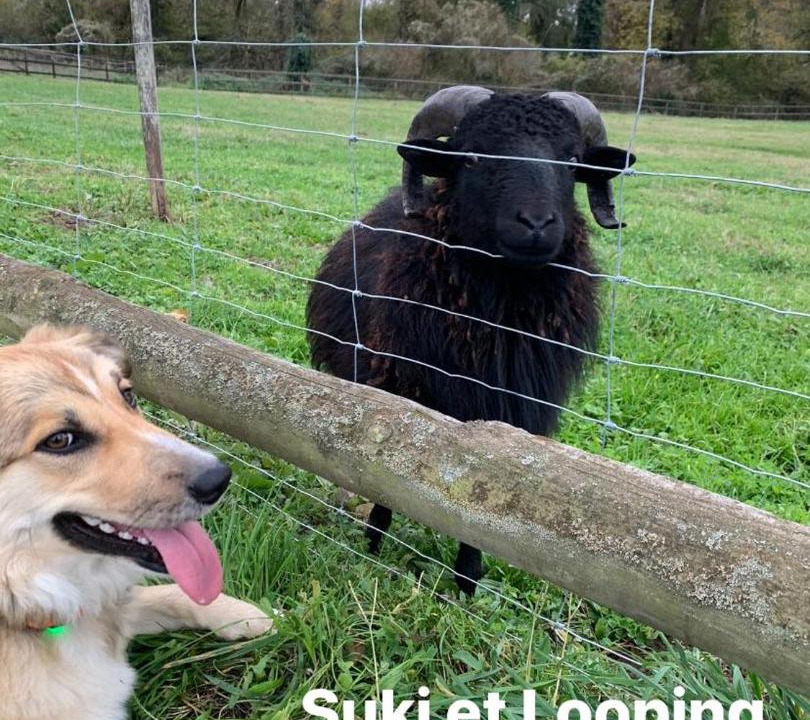 Photo of Others in Creon-dArmagnac