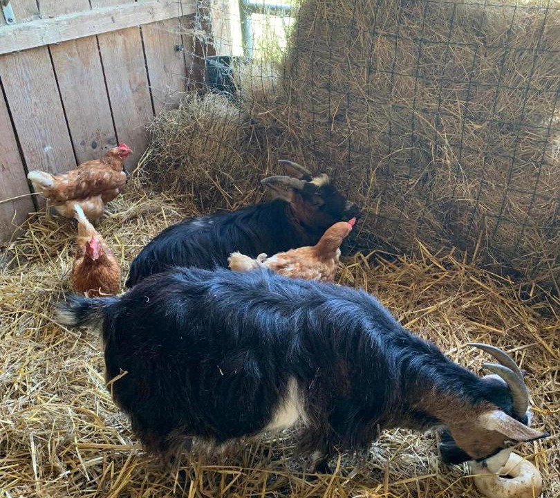 Photo of Others in Creon-dArmagnac