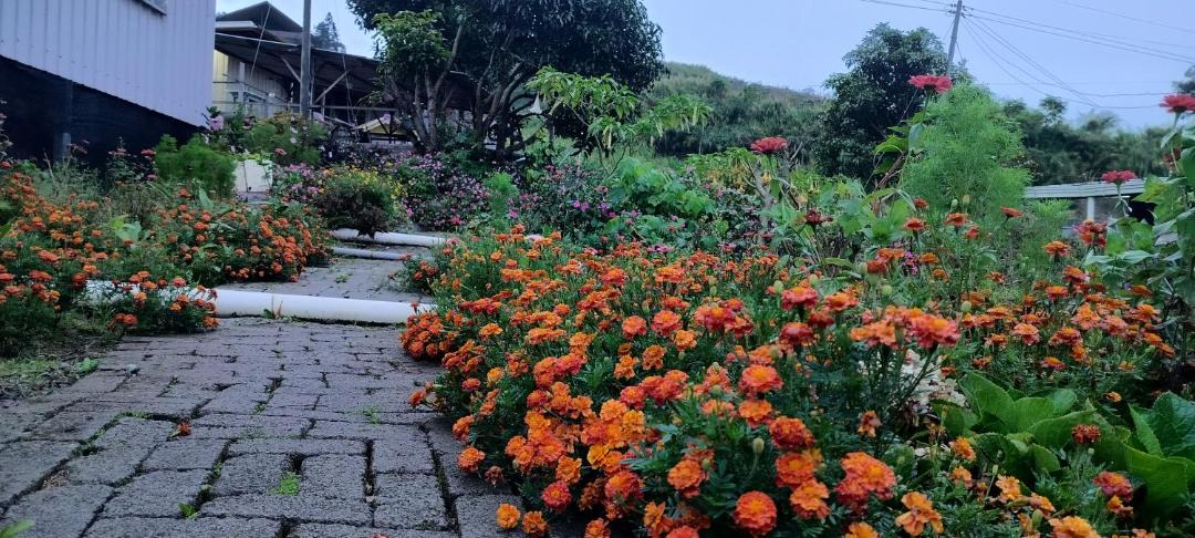 Photo of Others in Kundasang