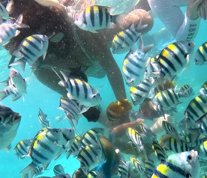 Photo of Others in Gili Trawangan