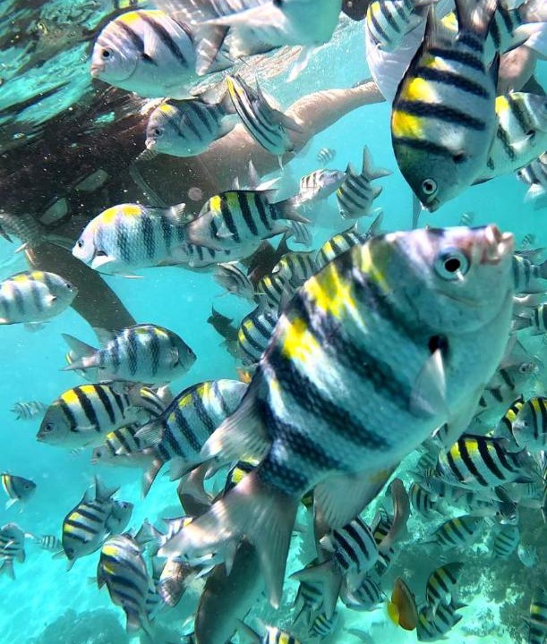 Photo of Others in Gili Trawangan