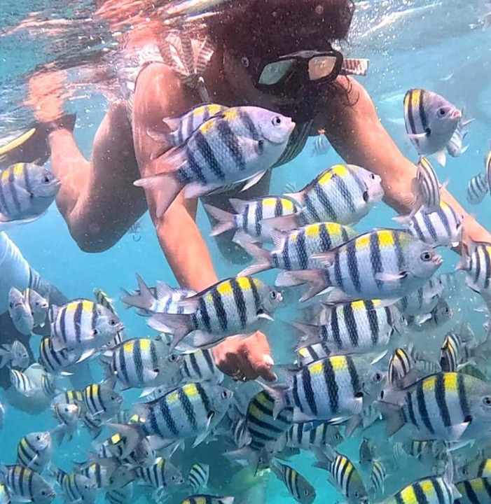 Photo of Others in Gili Trawangan