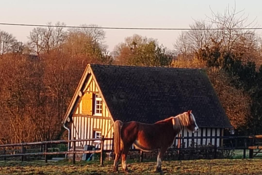 Photo of Others in Pays d'Auge