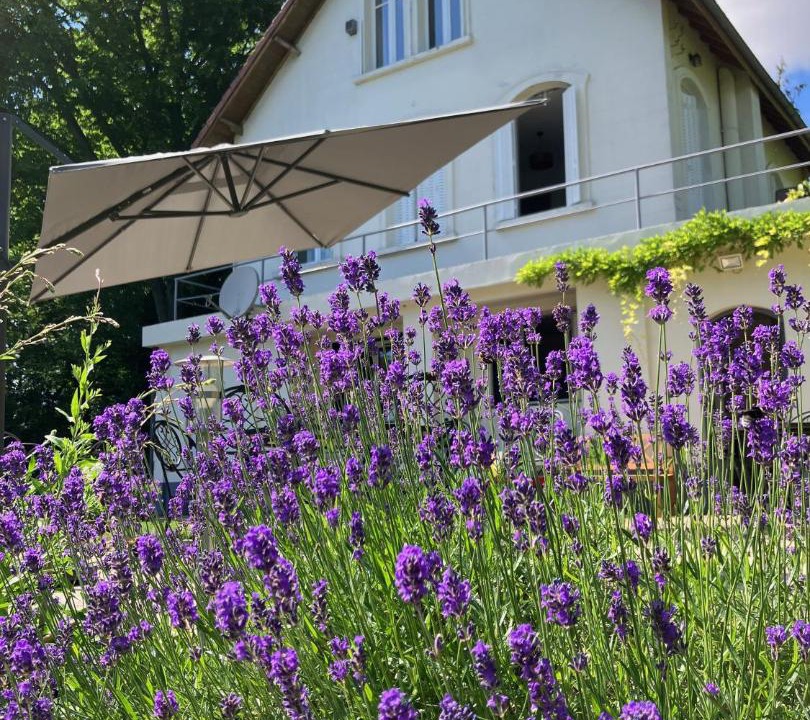 Photo of Others in Auvers-sur-Oise