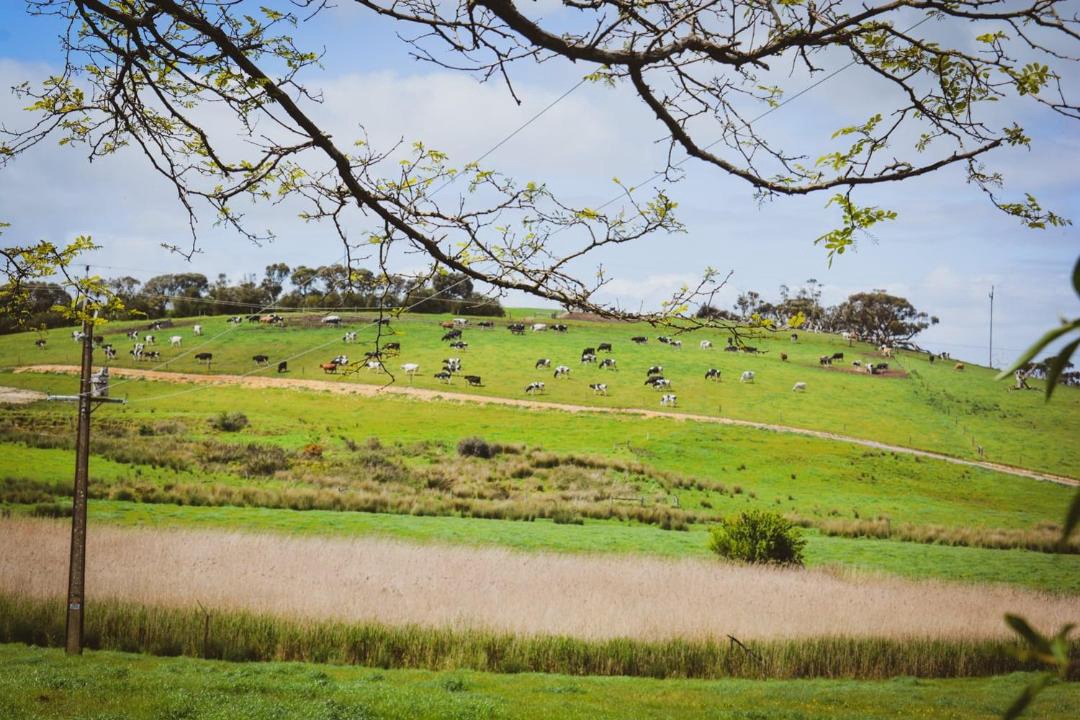 Photo of Others in Mount Jagged