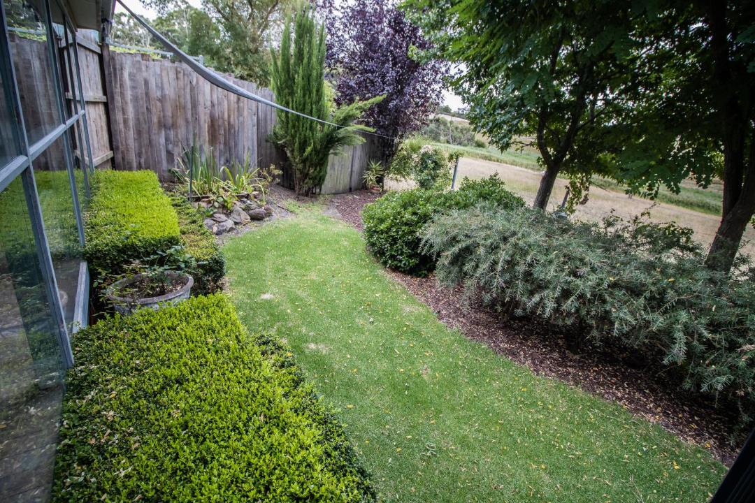 Photo of Others in Mount Jagged