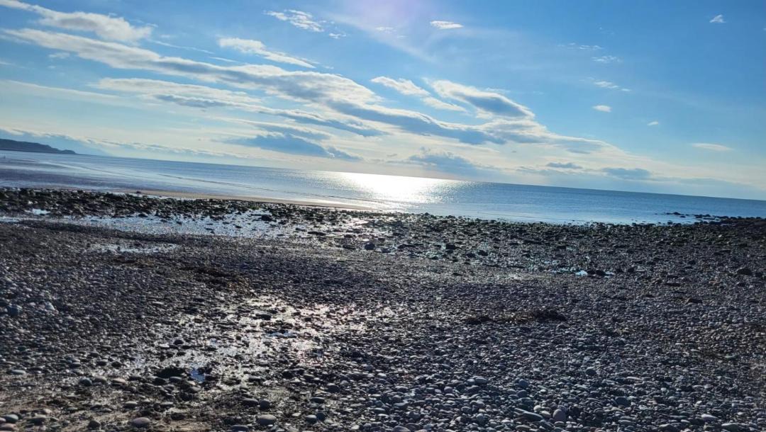 Photo of Others in Whitehaven