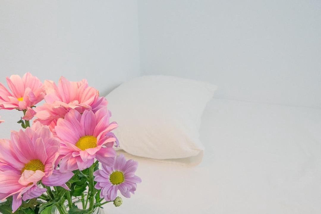 Photo of Bedroom in Port de la Selva