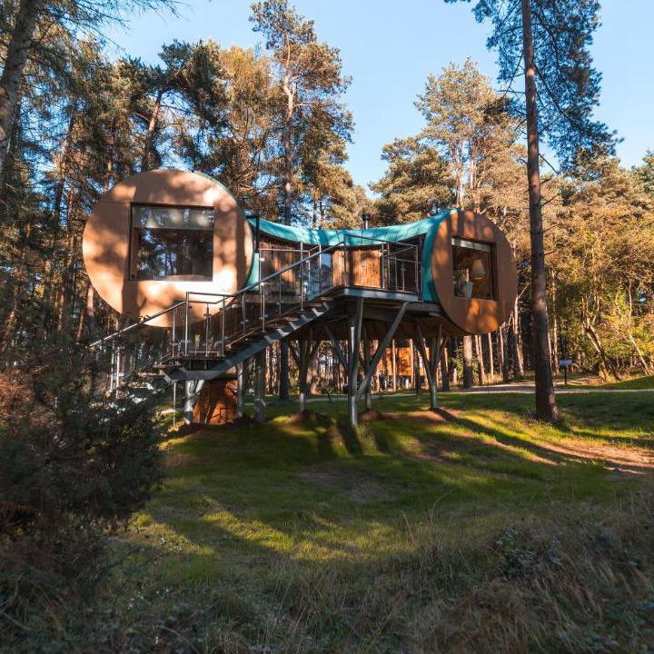 Photo of Others in South Leigh