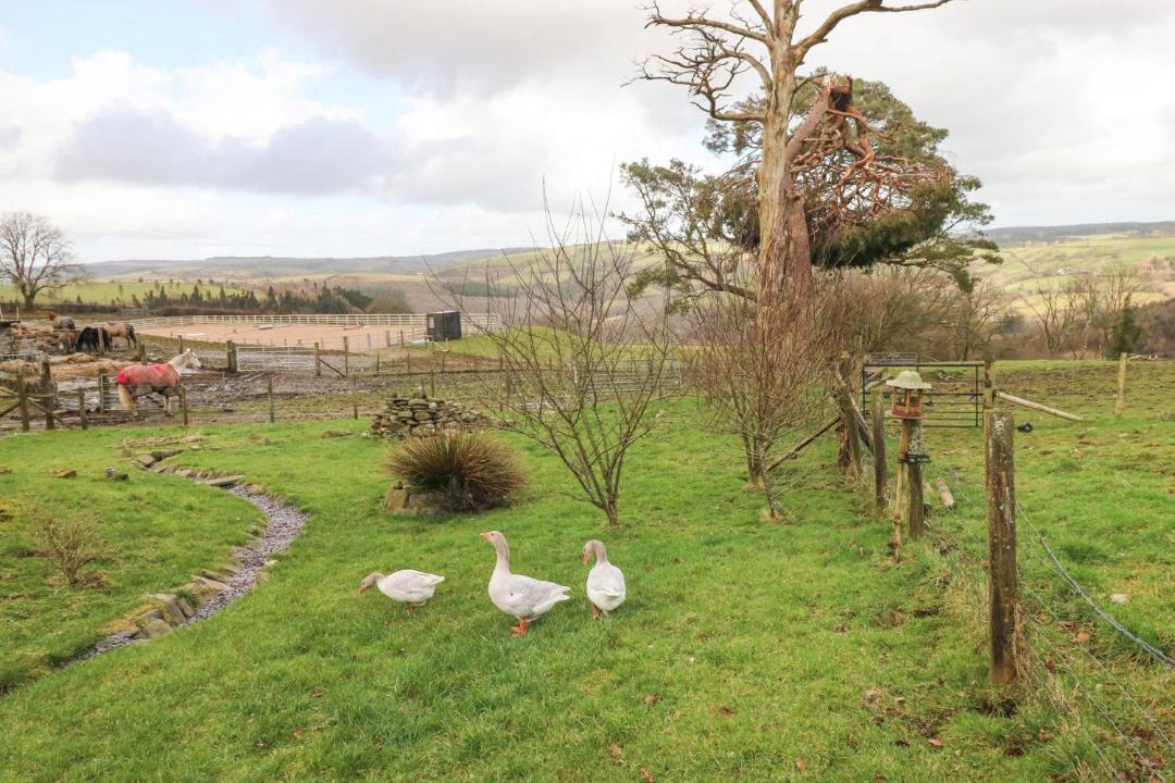 Photo of Others in Pont-ar-gothi