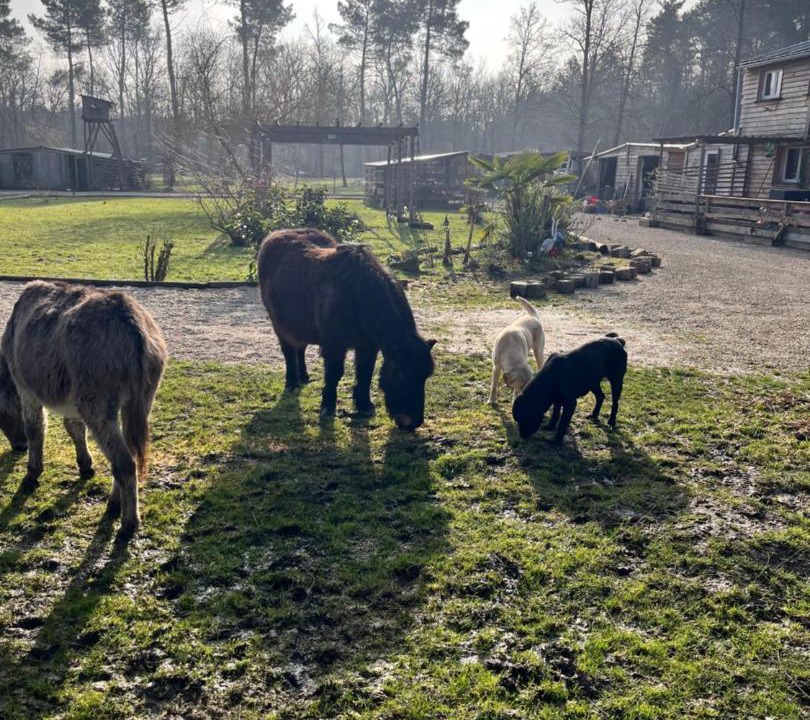 Photo of Others in Chatenoy