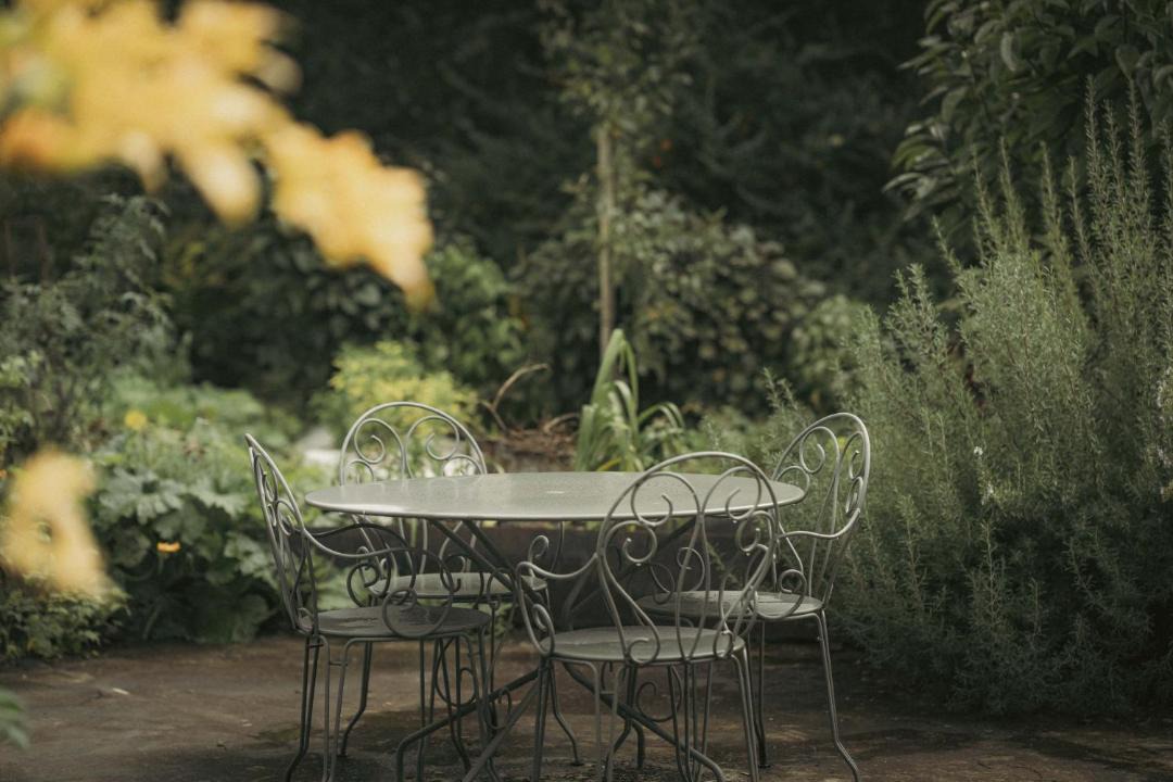 Photo of Others in La Ferte-Saint-Cyr