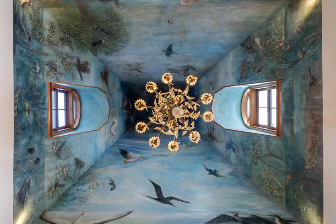 Photo of Others in Wellington