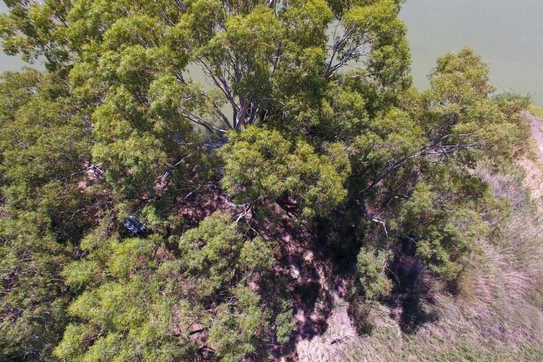 Photo of Others in Younghusband