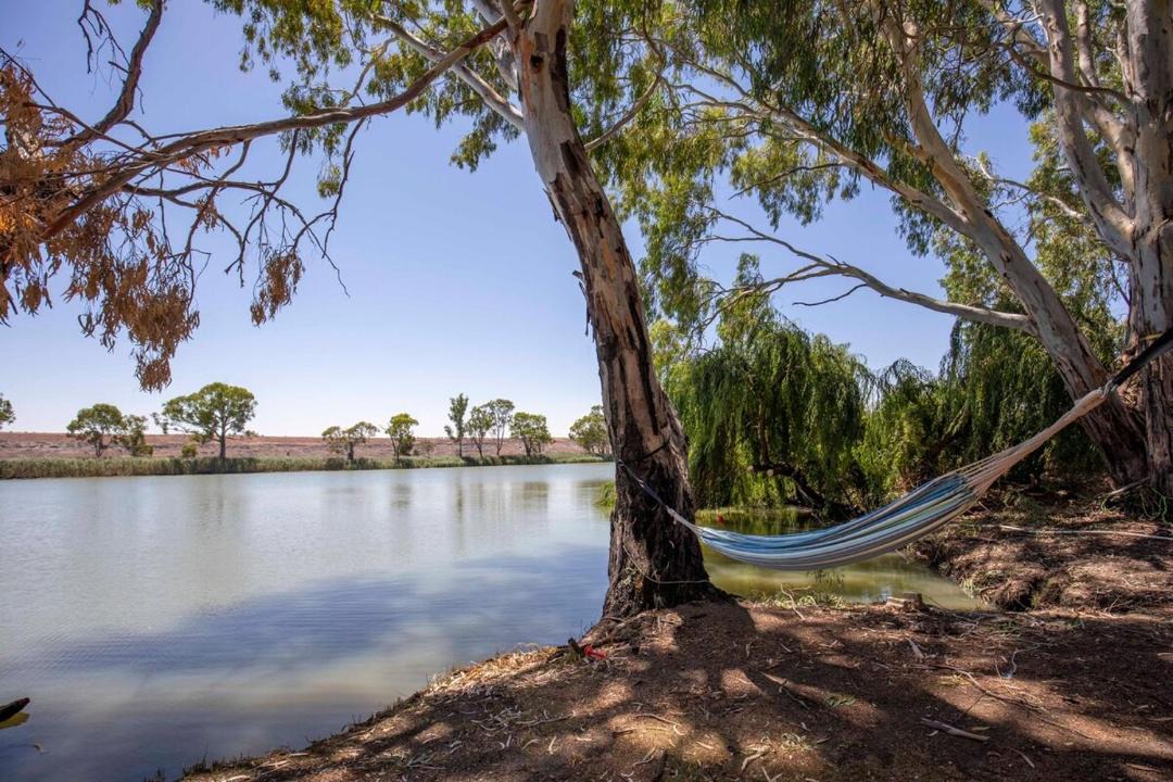 Photo of Others in Younghusband