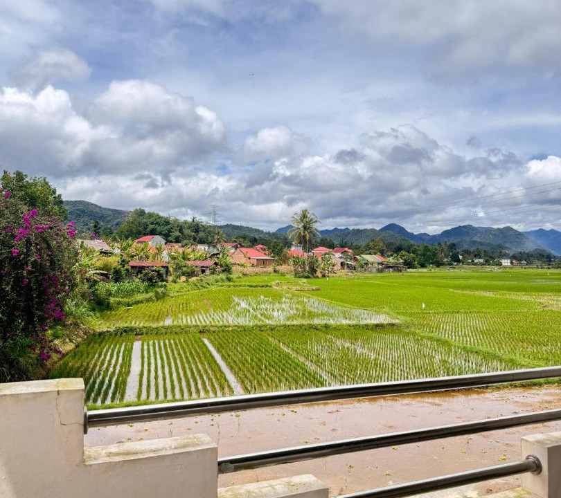 Photo of Others in Bukittinggi