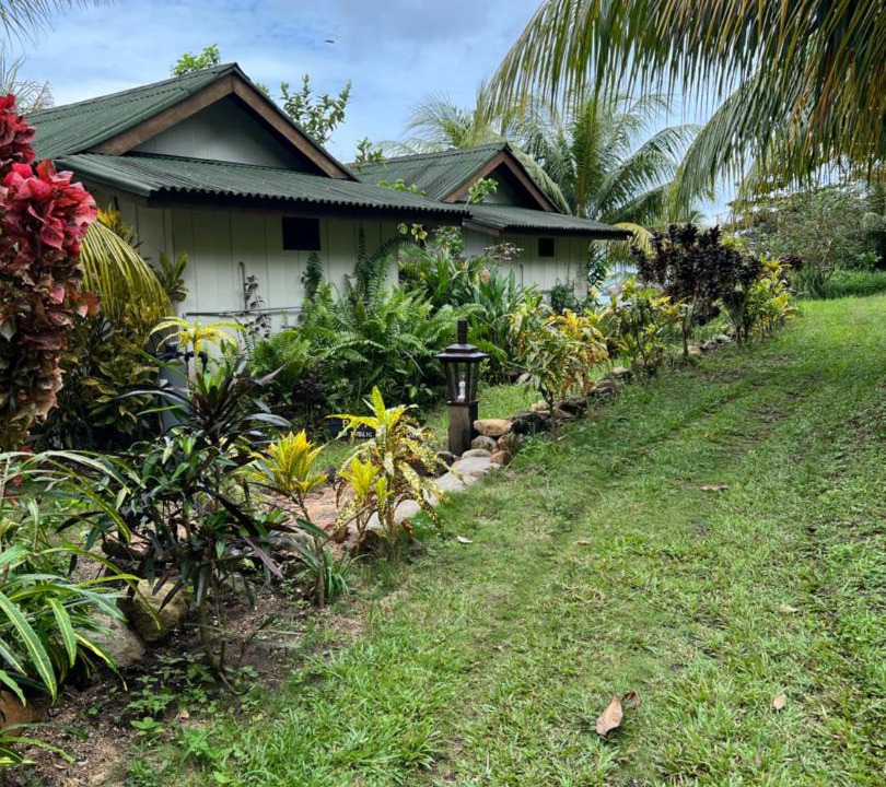 Photo of Others in Tioman Island