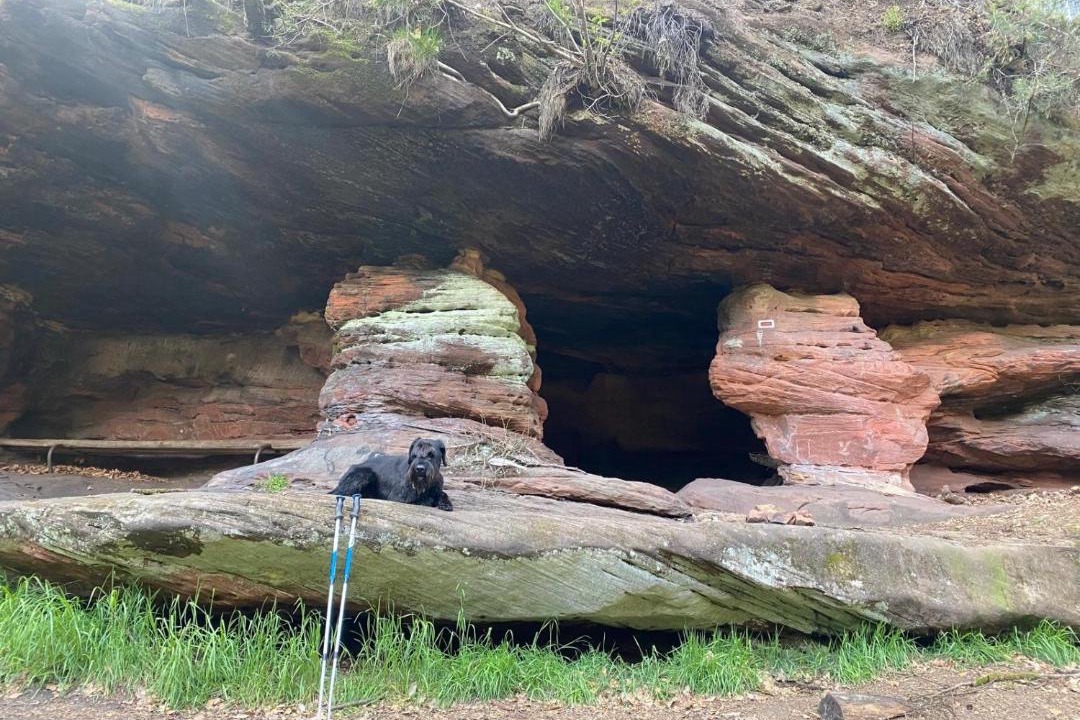 Photo of Others in Wimmenau