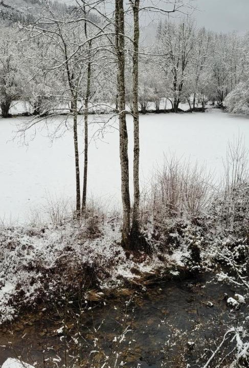 Photo of Others in Ravilloles