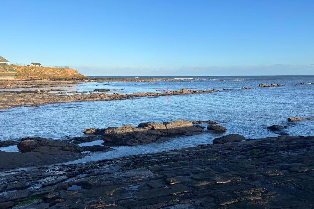 Photo of Others in Cullercoats