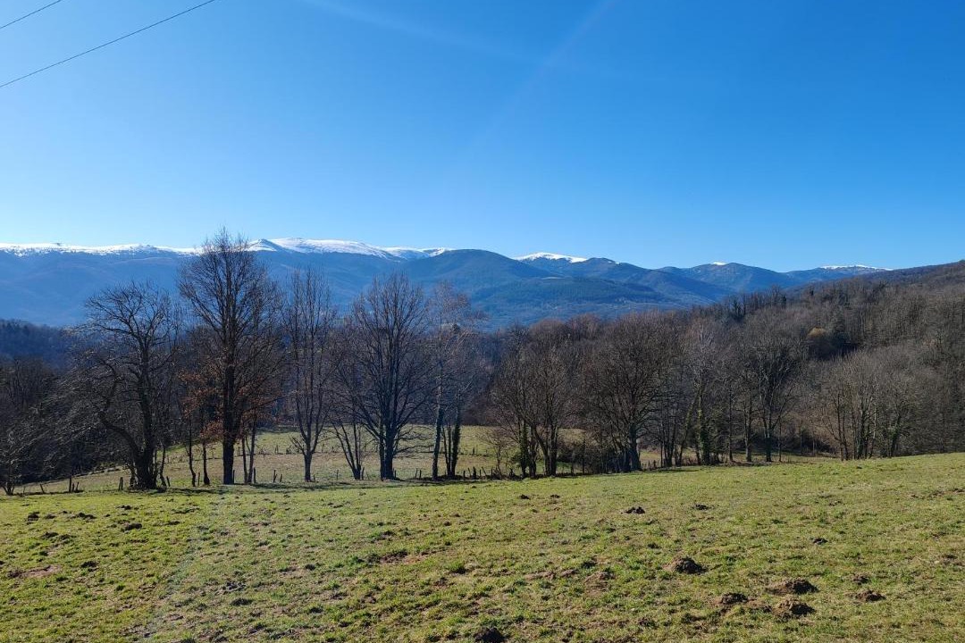 Photo of Others in Saint-Pierre-de-Riviere