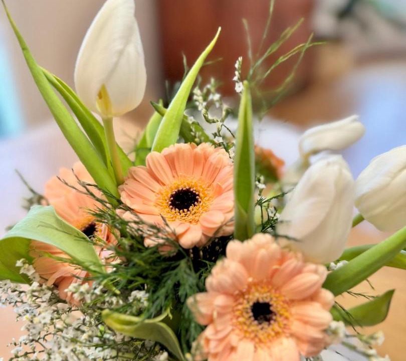 Photo of Others in Colombier - Champ de Mars