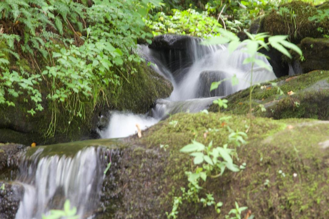 Photo of Others in Hot Springs
