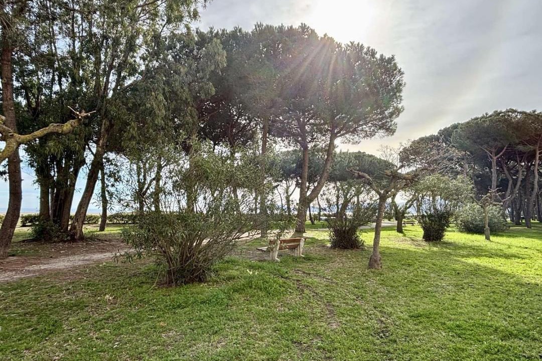 Photo of Others in Argeles Plage