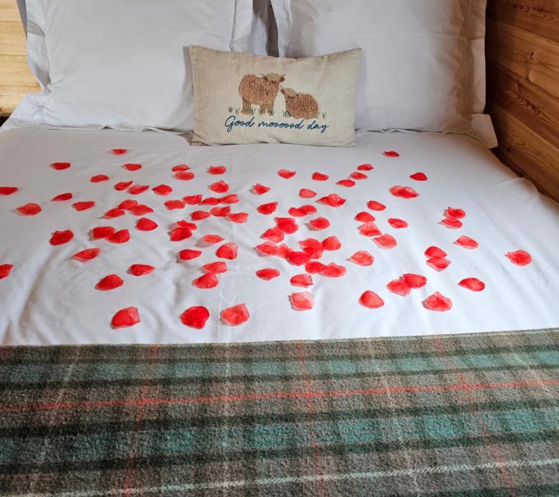 Photo of Bedroom in Dunbeath