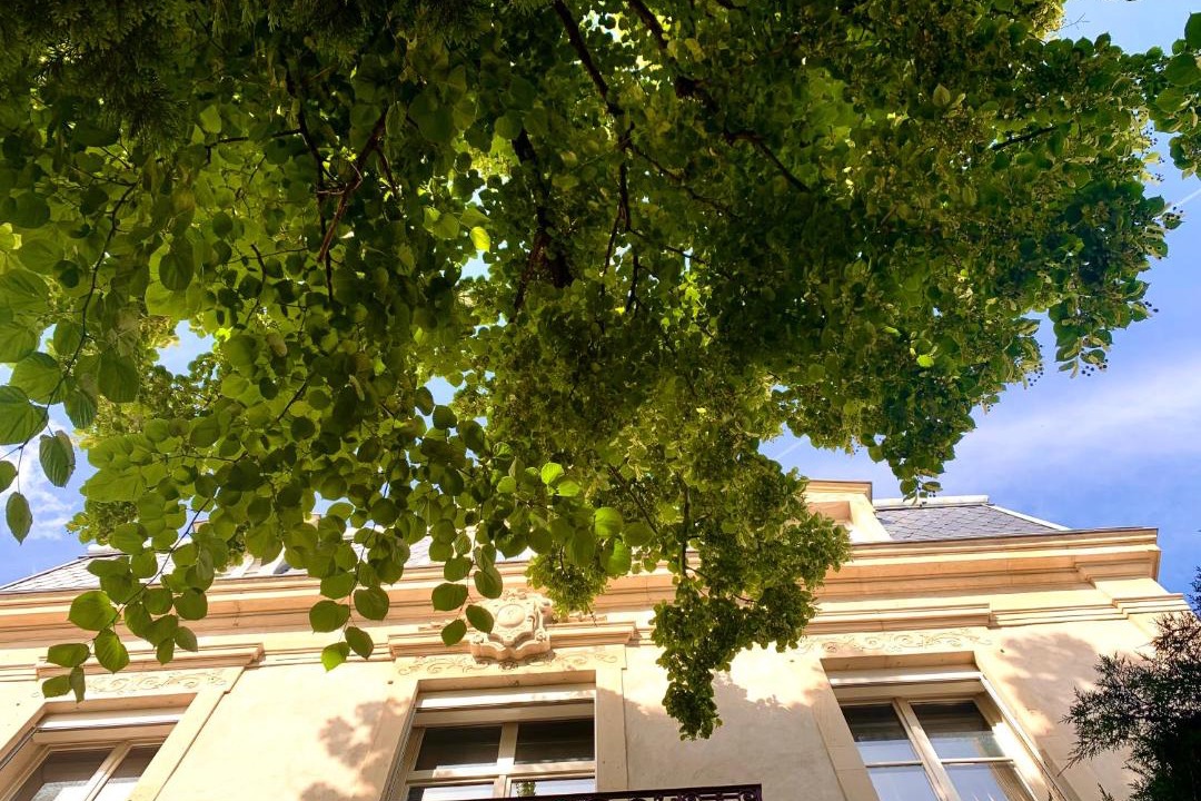 Photo of Others in Saint Nicolas - Charles III - Ville vieille - Trois Maisons - Leopold