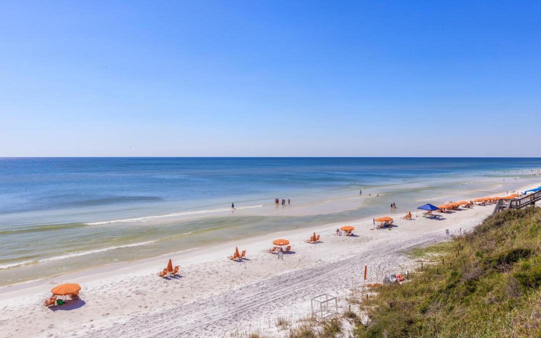 Photo of Others in White's Gulfview