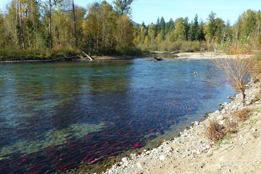 Photo of Others in Riggins Hot Springs