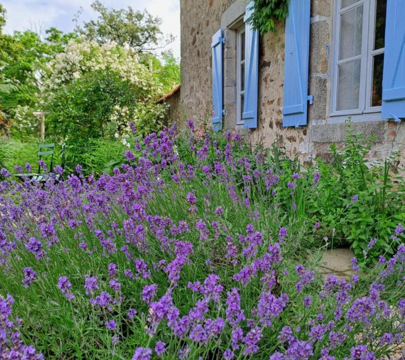 Photo of Others in Le Pin