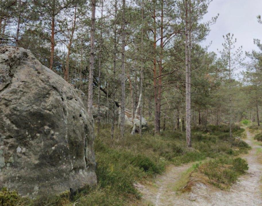 Photo of Others in Sceaux-du-Gatinais