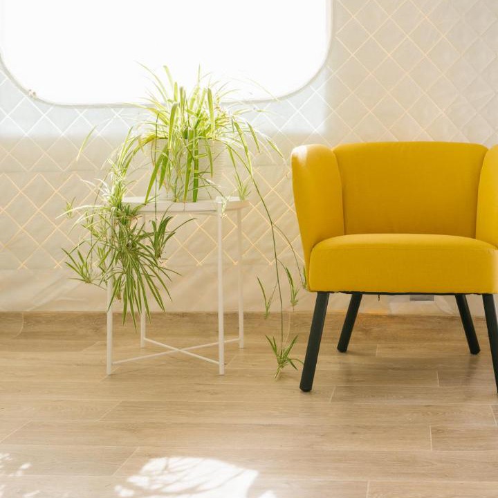 Photo of Others in Kilsyth