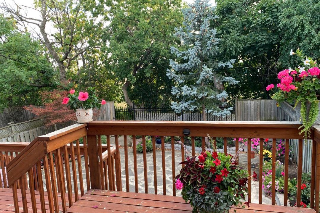 Photo of Patio Balcony in Mississauga