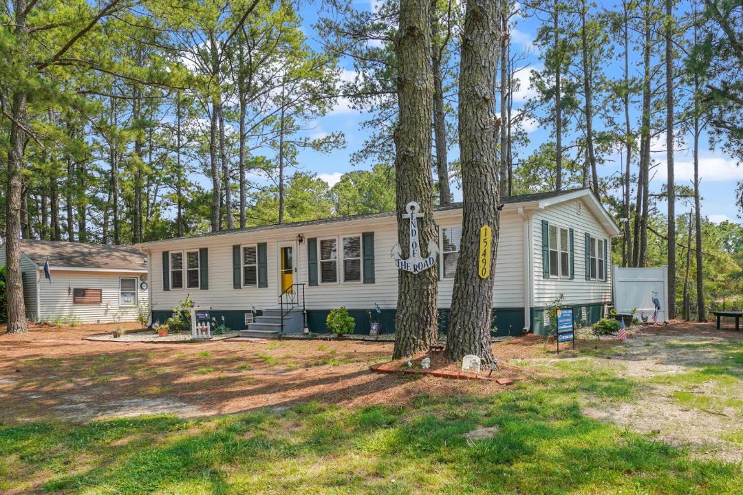 Photo of Others in Birdsnest