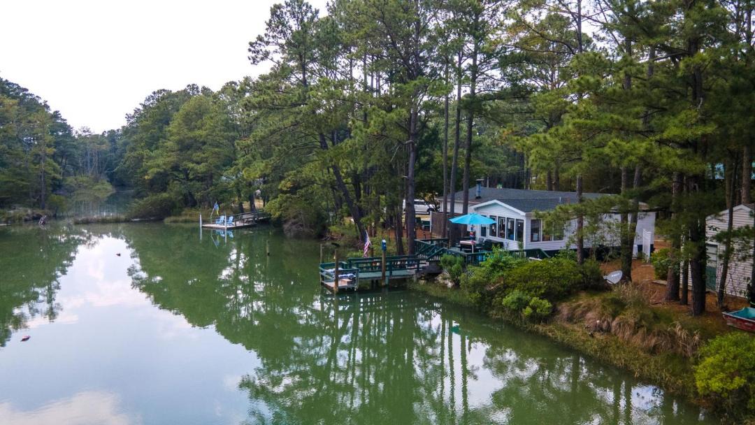 Photo of Others in Birdsnest