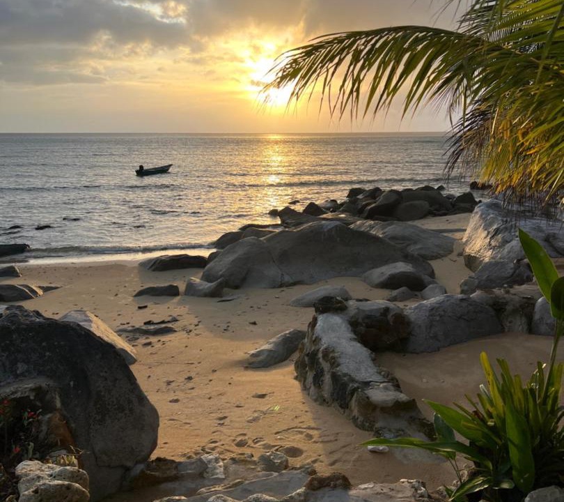Photo of Others in Tioman Island