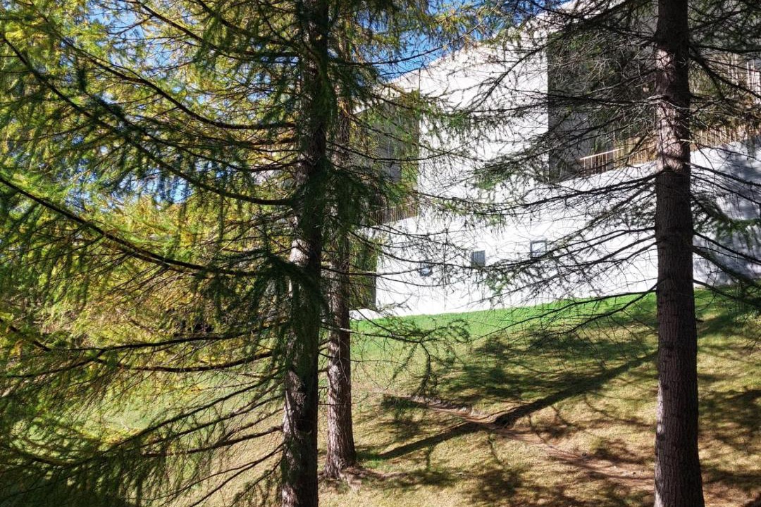 Photo of Others in Vals