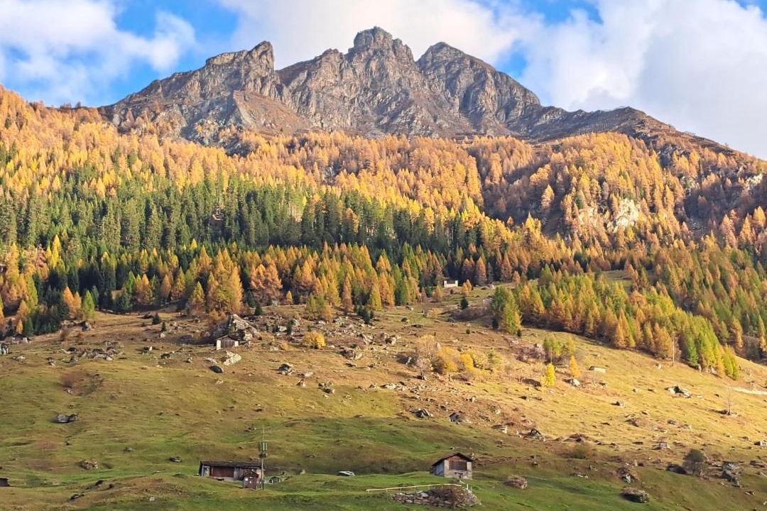 Photo of Others in Vals
