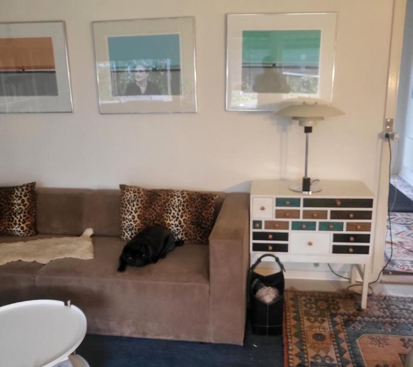 Photo of Livingroom in Skovgaarde