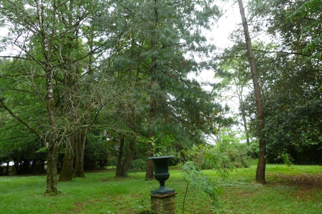 Photo of Others in Le Mazeau