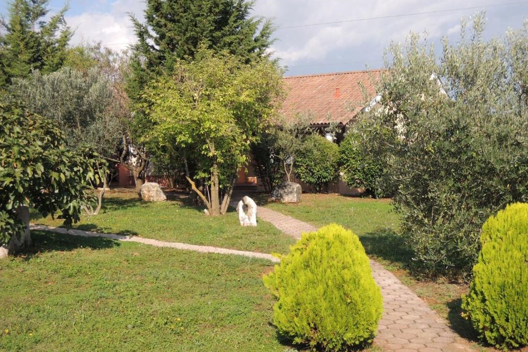 Photo of Others in Vrvari
