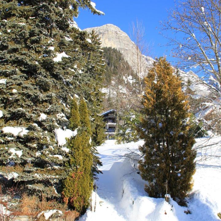 Photo of Outdoor in Plateau-d'Assy